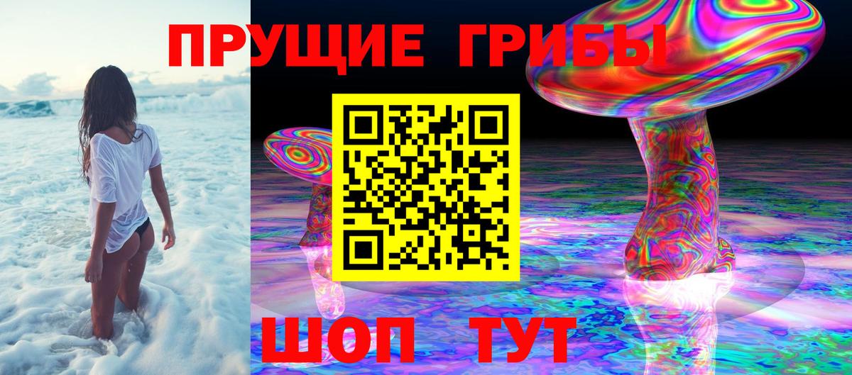 Галлюциногенные грибы Psilocybe  Вход с VPN  Белореченск 